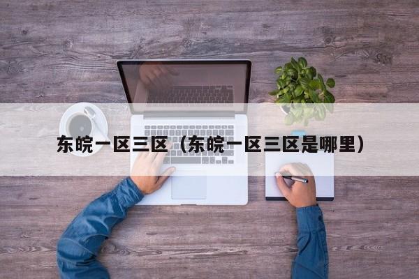 东皖一区三区(东皖一区三区是哪里)